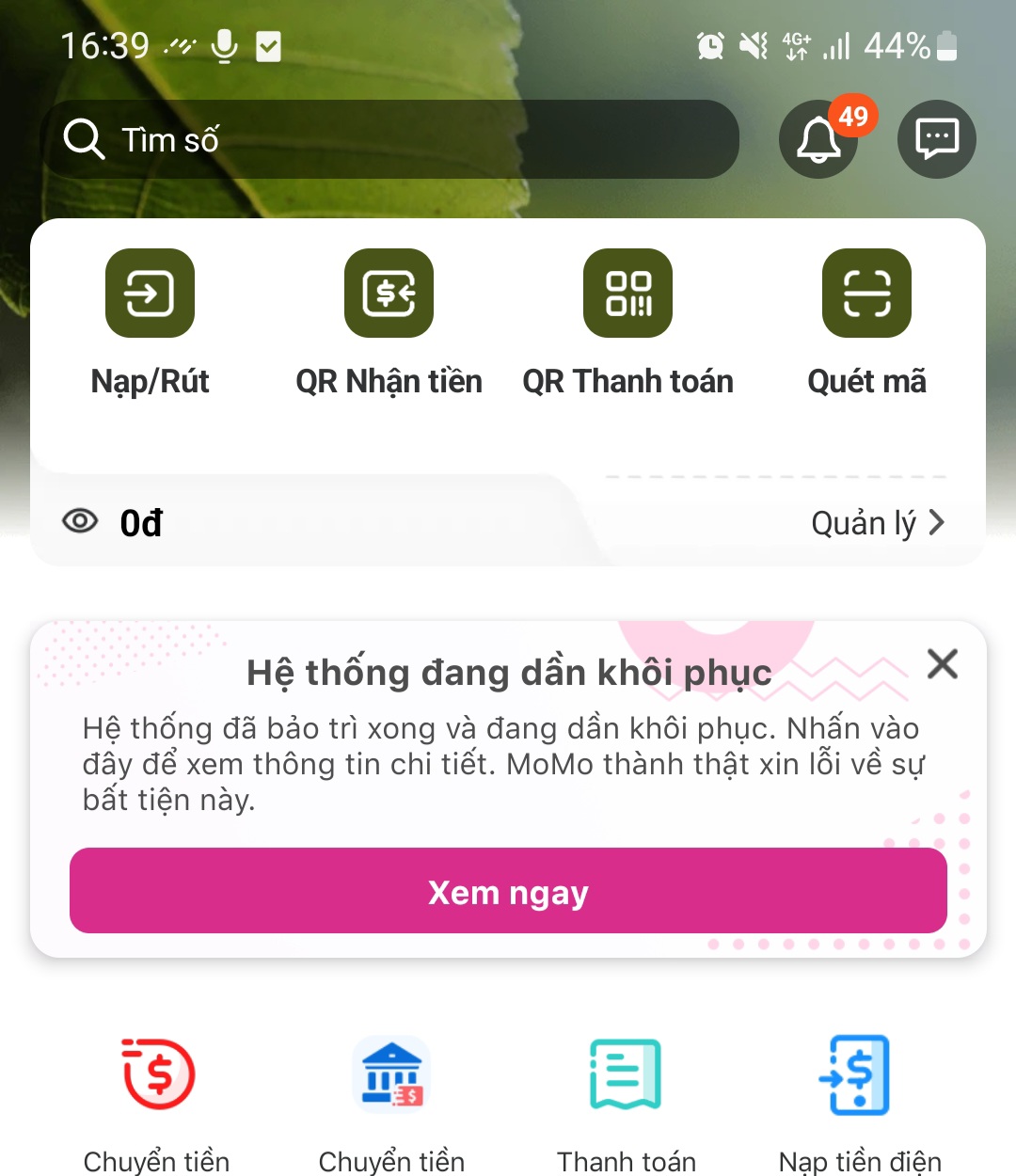 MoMo bảo trì, khách hàng đang gặp khó khi thanh toán, chuyển tiền