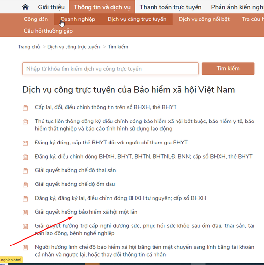 Người lao động có thể đăng ký hưởng BHXH một lần tại nhà - Ảnh 27.