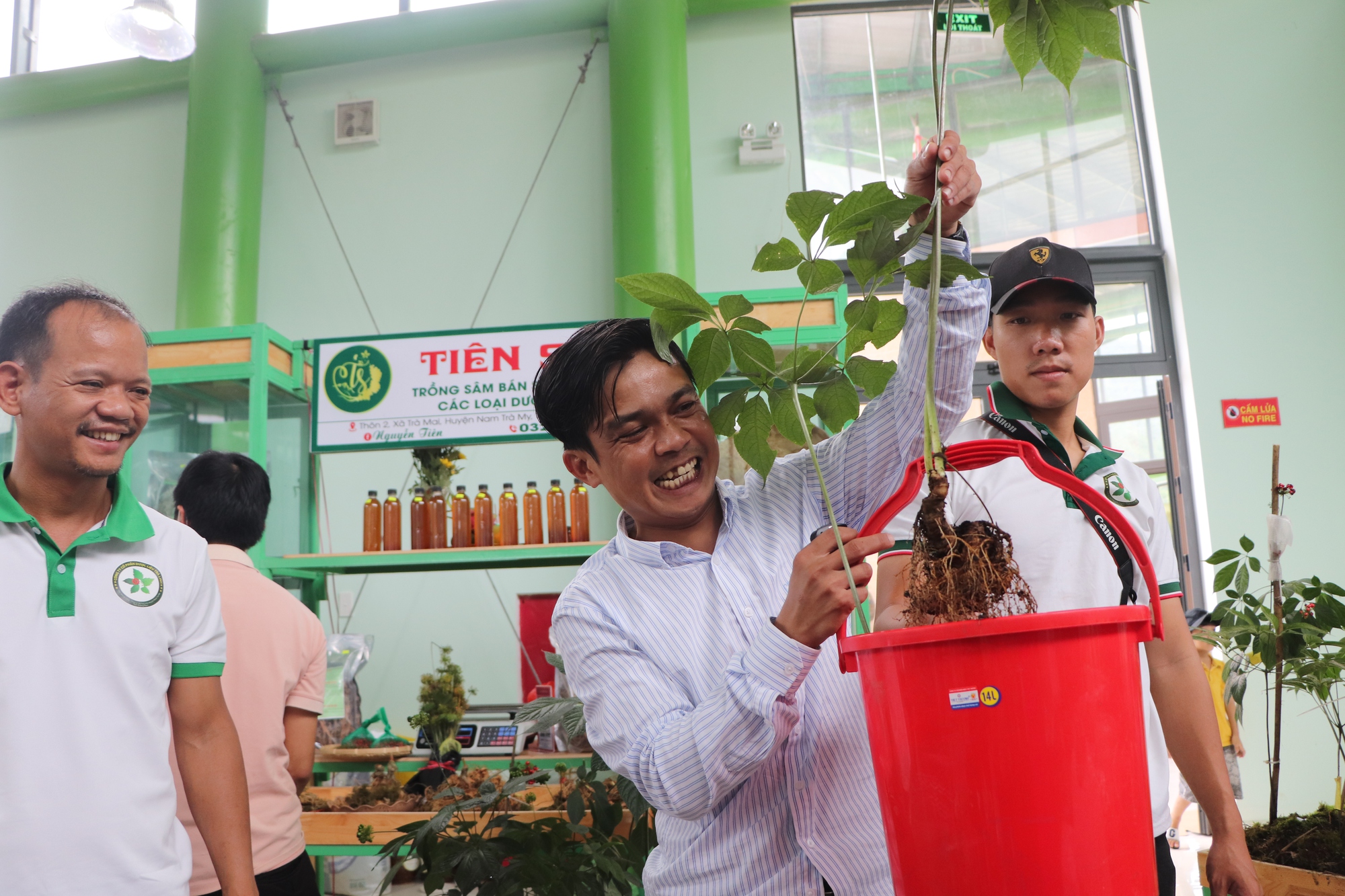 Quảng Nam yêu cầu công an điều tra việc mua bán sâm Ngọc Linh "dỏm"