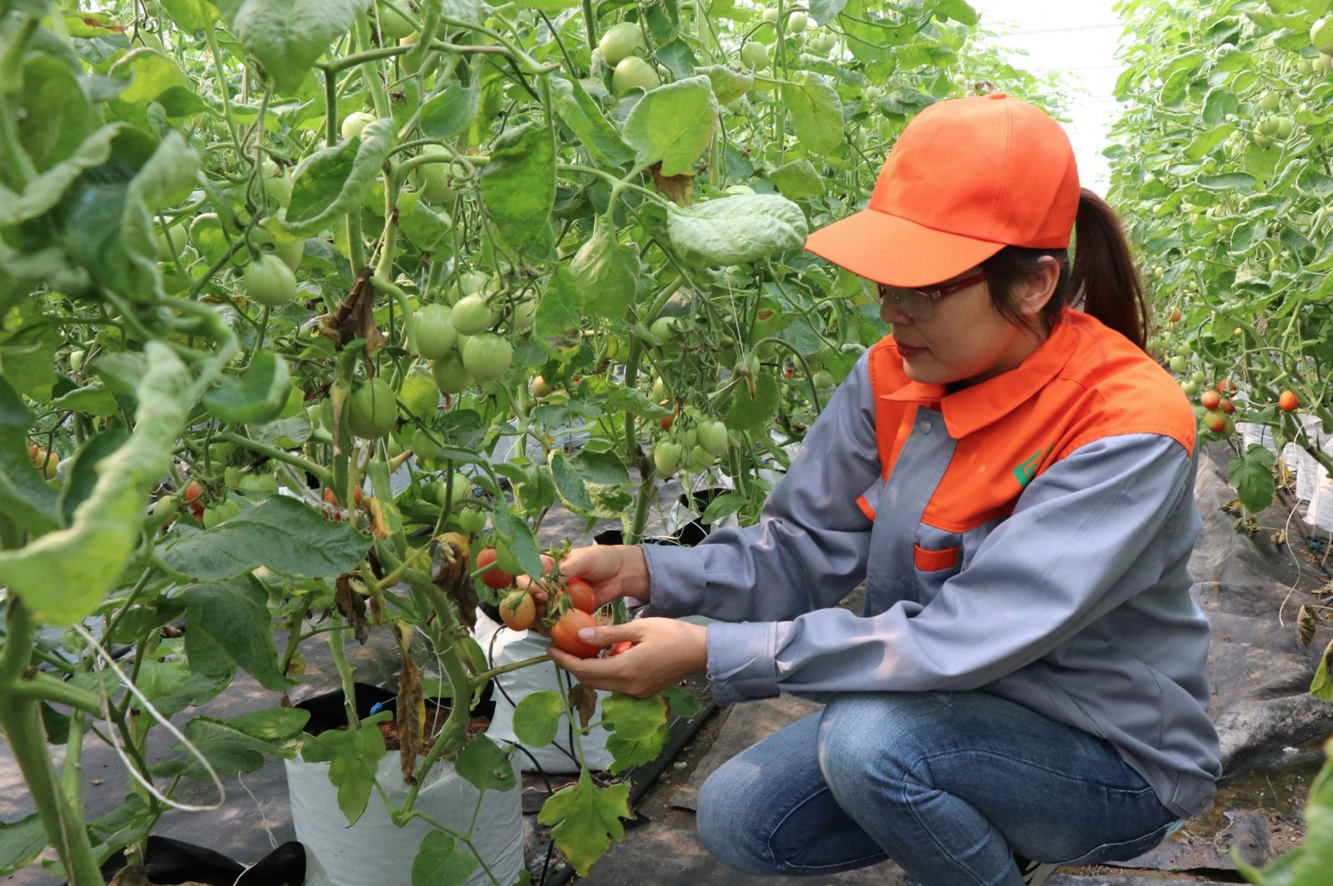 Khởi nghiệp chẳng bao giờ là dễ