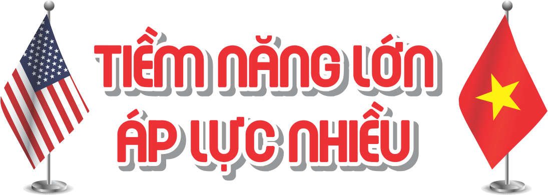 “Gọi đúng tên” quan hệ Việt - Mỹ: Cơ hội lớn, áp lực nhiều- Ảnh 8.