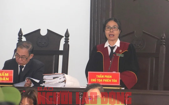Thảo &ldquo;lụi&rdquo; c&ugrave;ng đ&agrave;n em hầu t&ograve;a về tội &ldquo;Hủy hoại t&agrave;i sản&rdquo; - Ảnh 4.