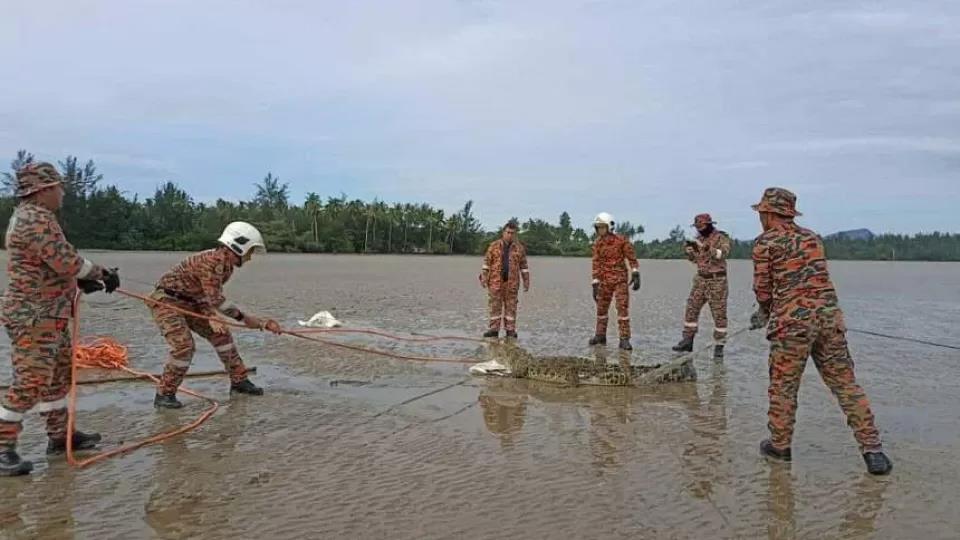 Malaysia: Bắn hạ hàng loạt cá sấu sau khi nhiều người mất tích