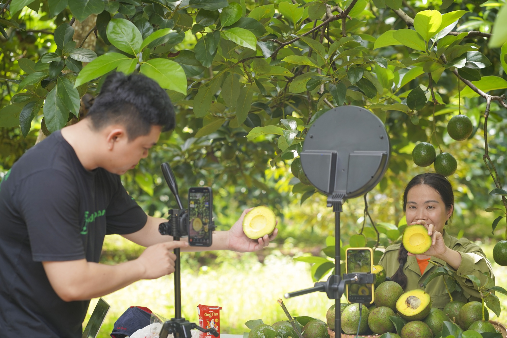 Livestream sản phẩm OCOP tr&ecirc;n s&agrave;n b&aacute;n lẻ trực tuyến - Ảnh 4.