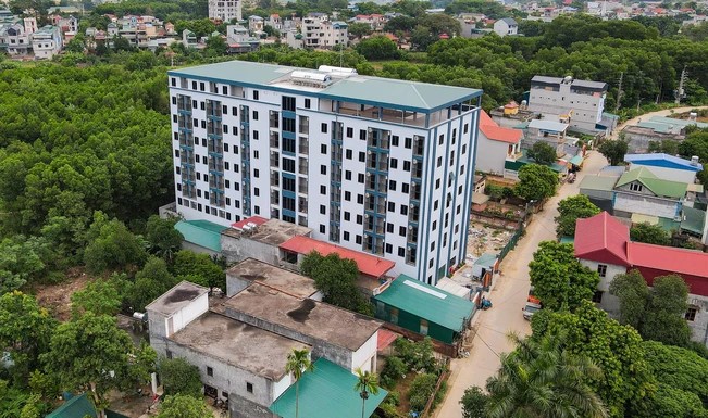 Cắt ngọn và cắt gốc