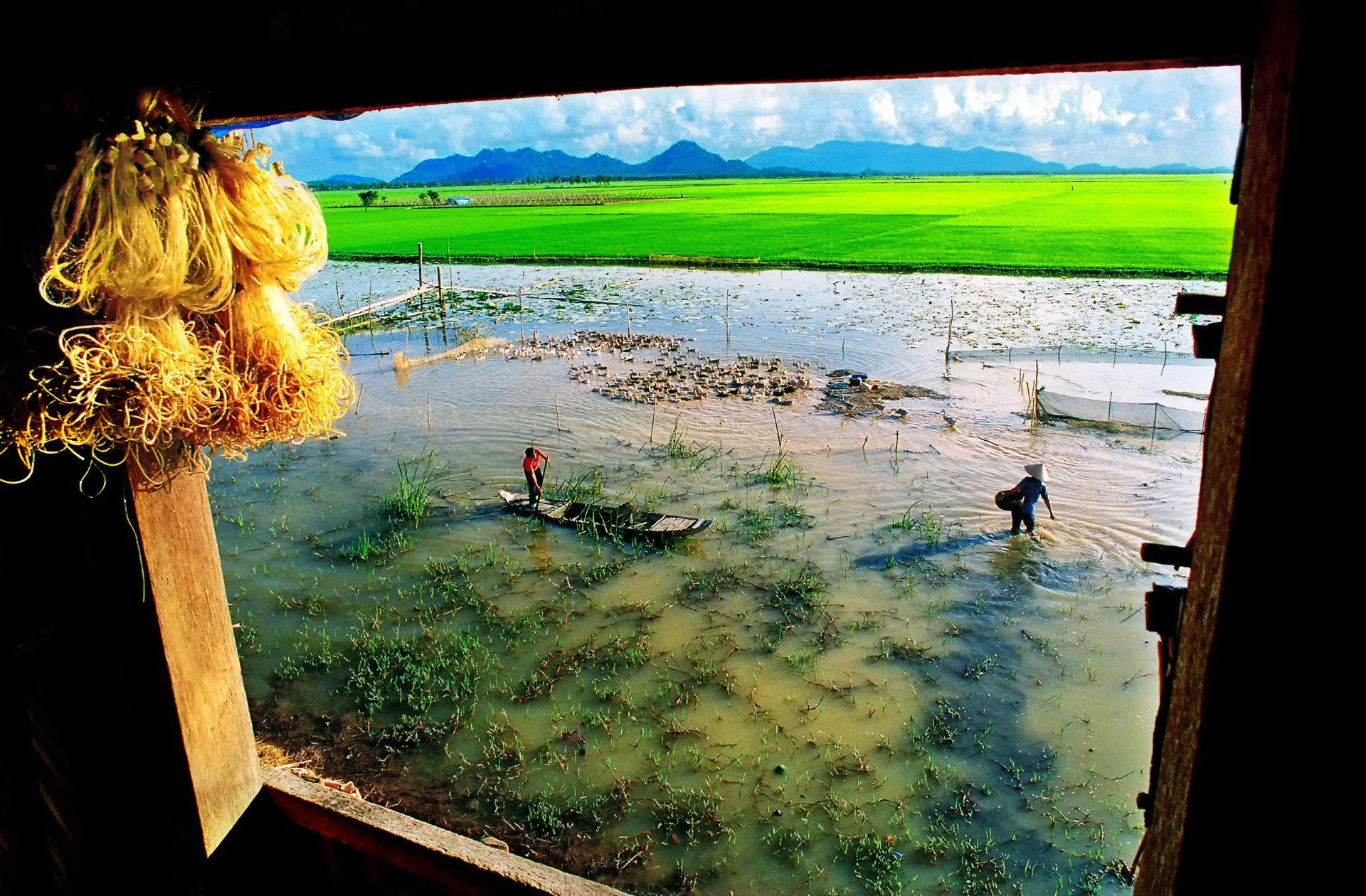 Triển l&atilde;m Bức tranh qu&ecirc; của Ho&agrave;ng Thạch V&acirc;n - Ảnh 1.