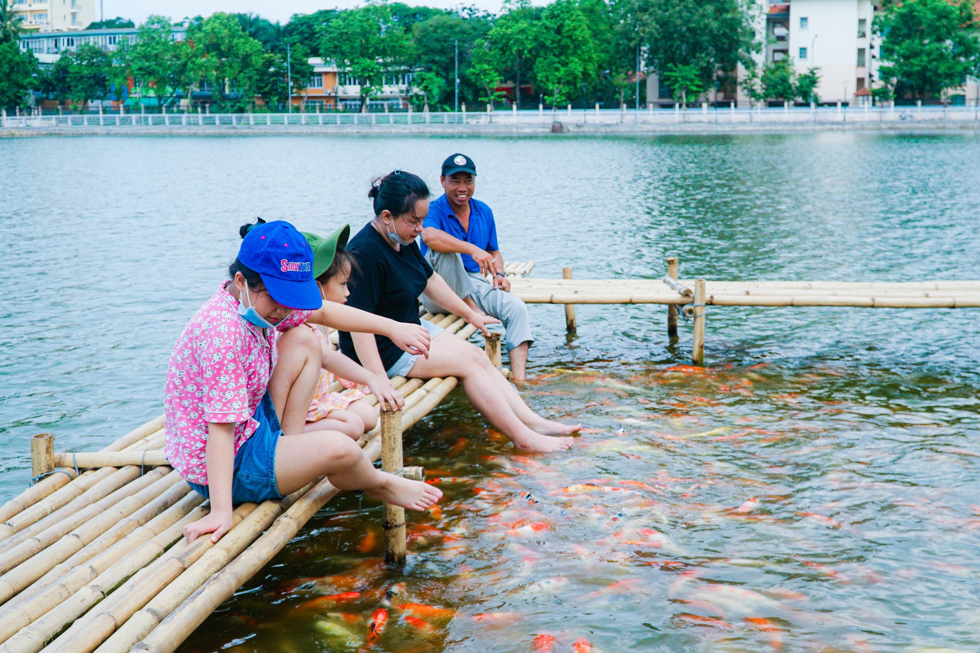Dừng nu&ocirc;i 8 tấn c&aacute; koi ở Hồ T&acirc;y