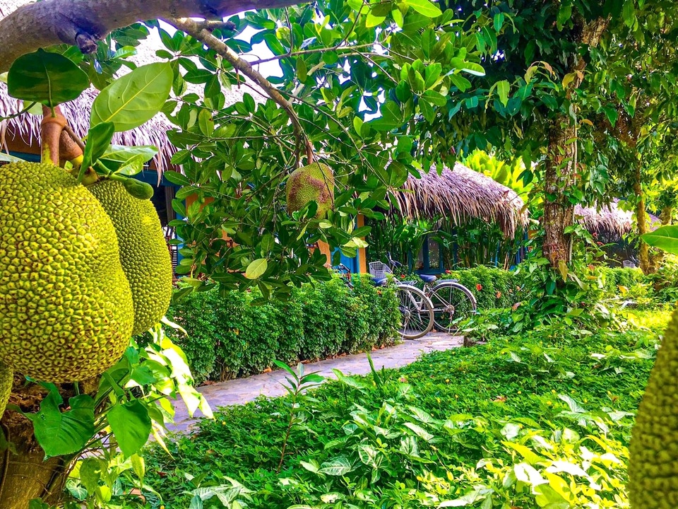 Phần đời của tuổi thơ tôi - Ảnh 1.