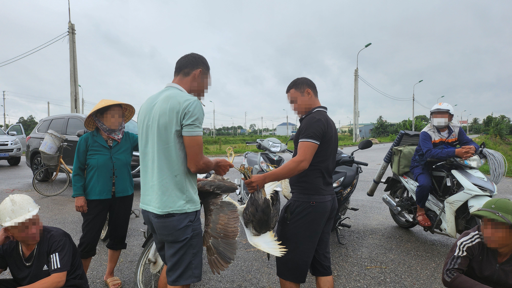Chim trời thưa vắng - Ảnh 7.