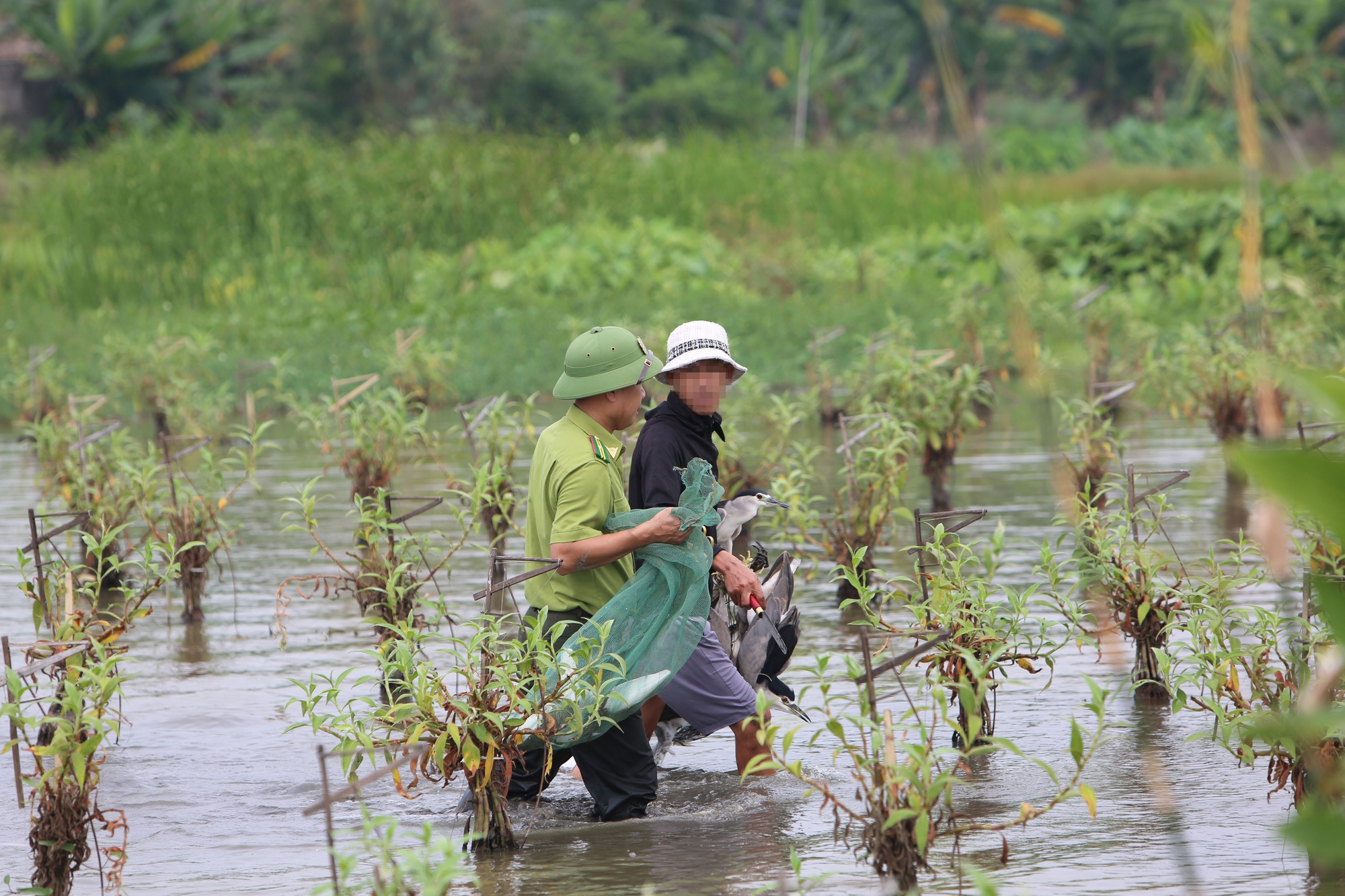 Chim trời thưa vắng - Ảnh 6.