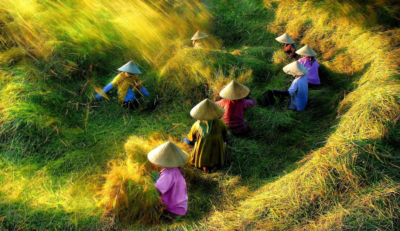 Triển l&atilde;m Bức tranh qu&ecirc; của Ho&agrave;ng Thạch V&acirc;n - Ảnh 4.
