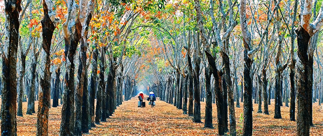 Triển l&atilde;m Bức tranh qu&ecirc; của Ho&agrave;ng Thạch V&acirc;n - Ảnh 5.