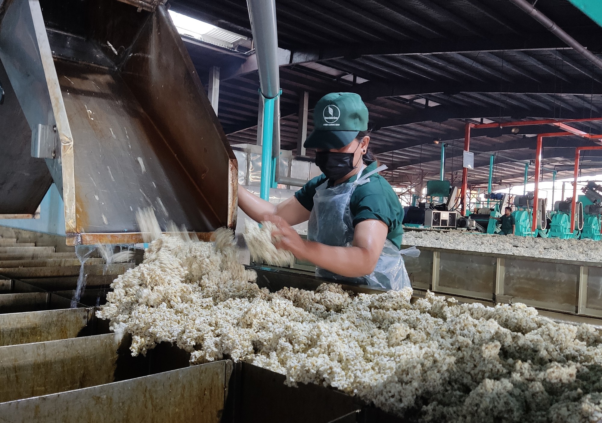 Tập đoàn công nghiệp cao su Việt Nam và chiến lược xanh hóa