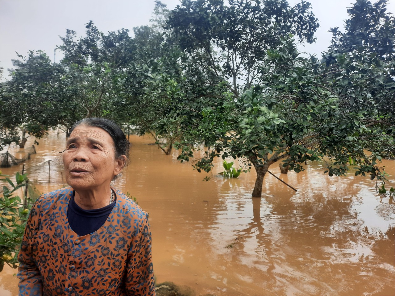 Mưa lũ ở H&agrave; Tĩnh l&agrave;m 2 người tử vong, hơn 22.500 học sinh phải nghỉ học - Ảnh 6.
