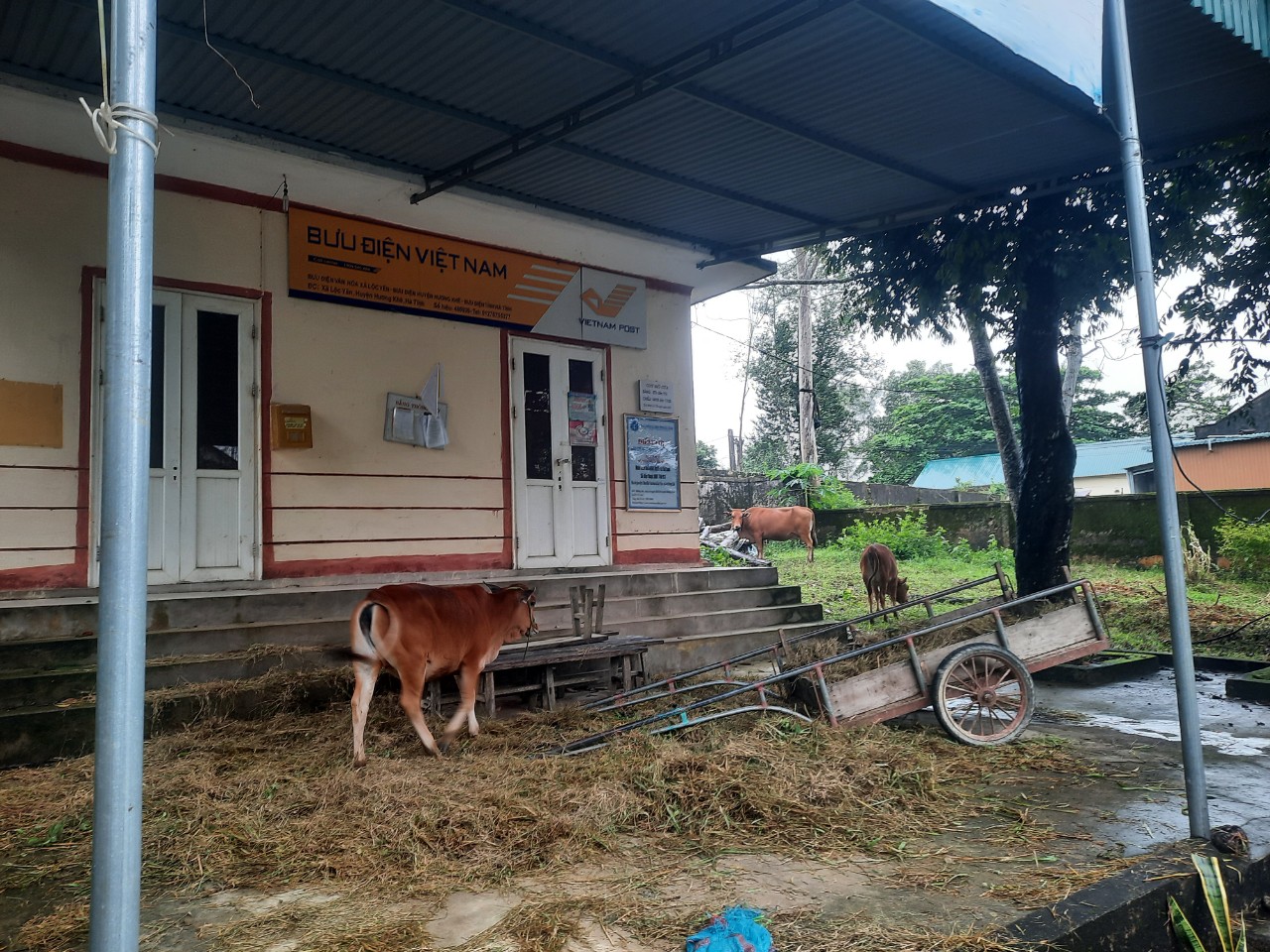 Mưa lũ ở H&agrave; Tĩnh l&agrave;m 2 người tử vong, hơn 22.500 học sinh phải nghỉ học - Ảnh 4.