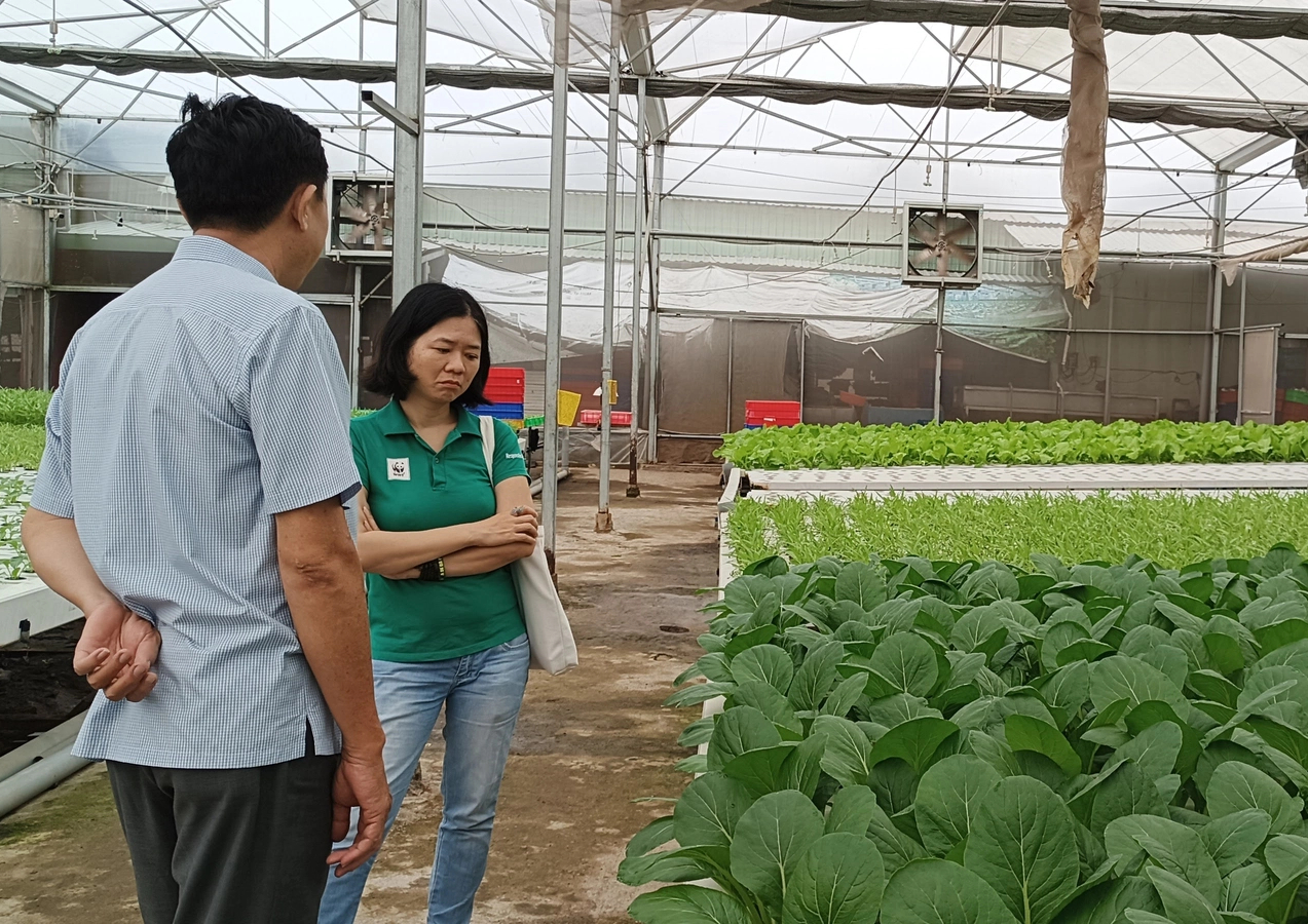 Lắng nghe người dân hiến kế: Xây dựng nông thôn gắn phát triển đô thị bền vững