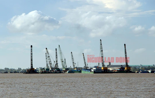 Vụ khai thác cát trái phép tại An Giang: Bắt thêm 1 giám đốc - Ảnh 3.