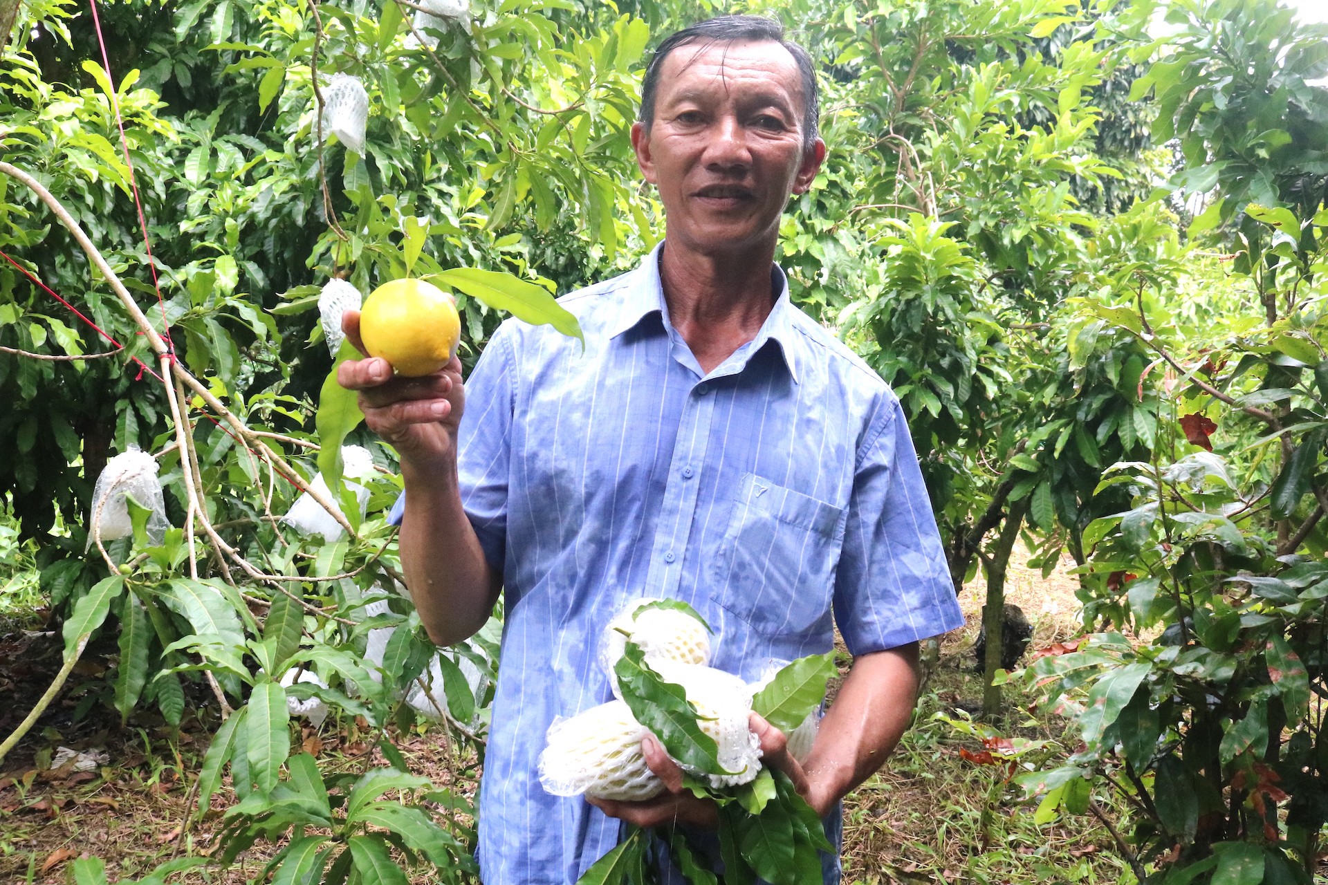 Năng động, nhạy bén làm giàu