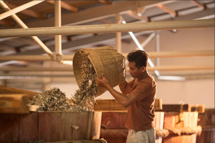 Mê món Việt 15 năm, Chad Kubanoff lần đầu đến thăm nhà thùng nước mắm Chin-su Phú Quốc - Ảnh 3.