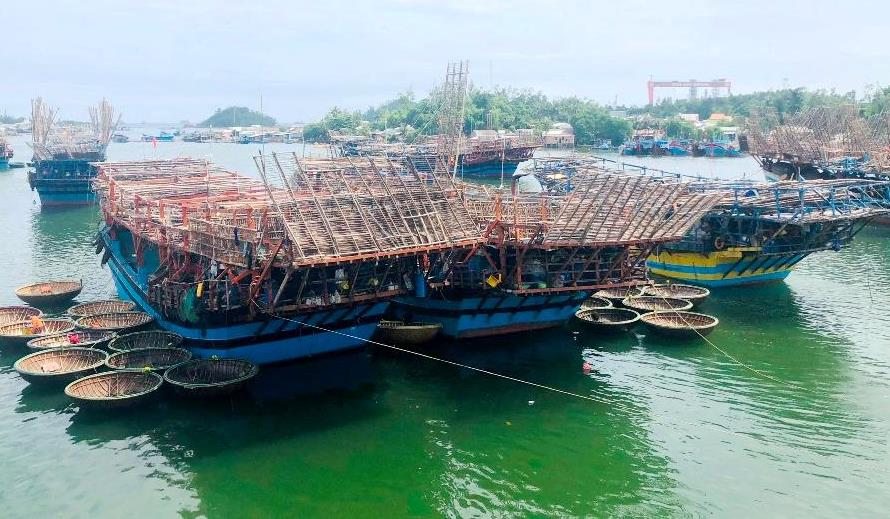 Một ngư dân mất tích khi hành nghề câu mực ở Trường Sa - Ảnh 1.