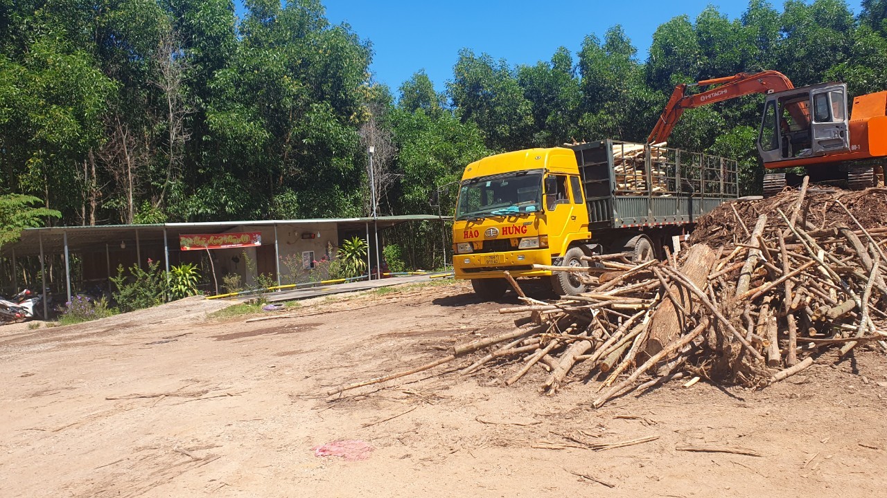 "Đột nhập" những trạm cân keo tràm "4 không" mà chính quyền khó xử lý