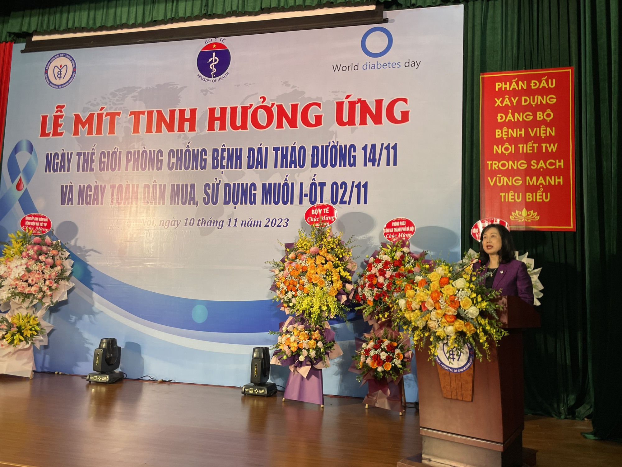 7 triệu người Việt bị đái tháo đường - Ảnh 1.