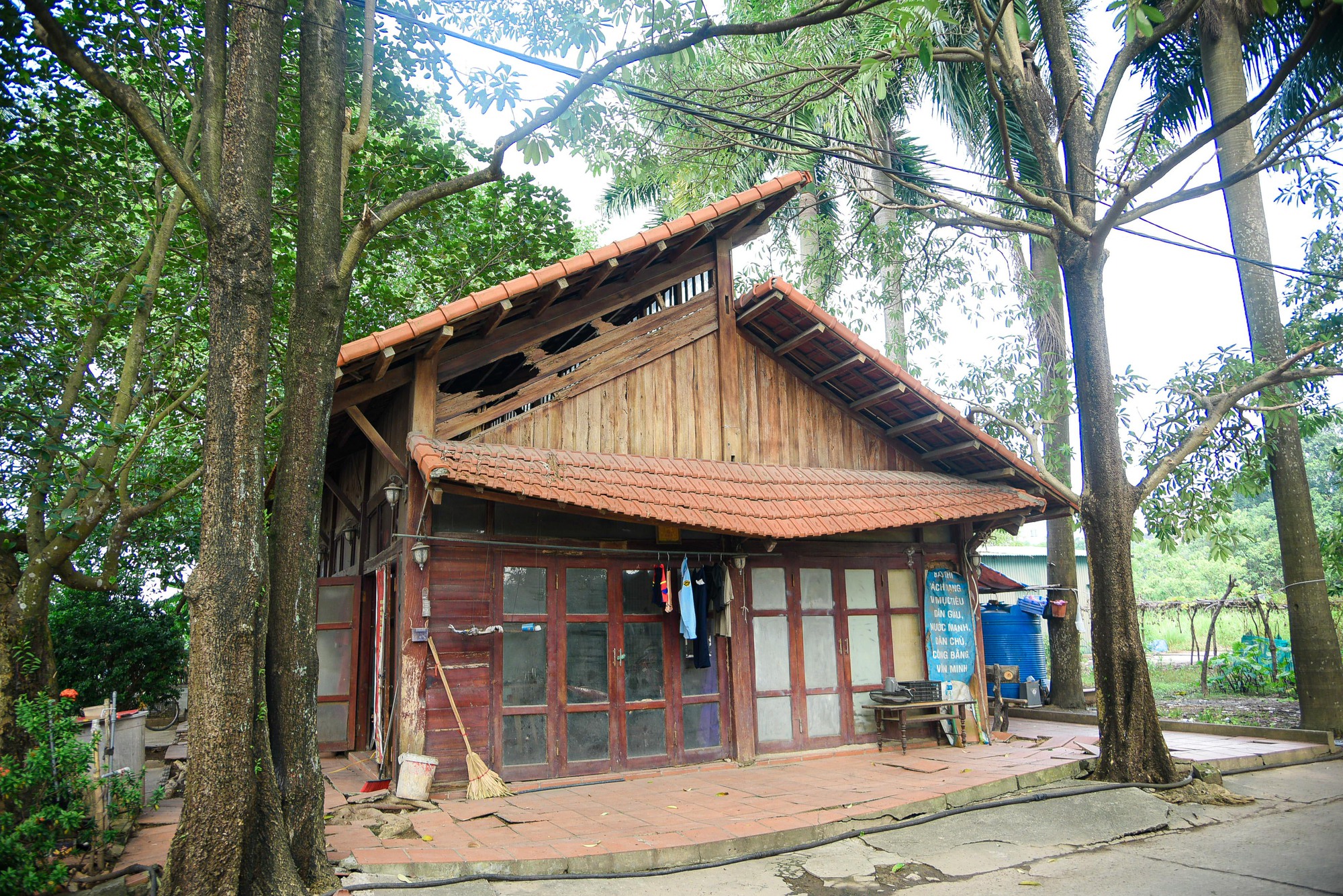 Khu sinh thái rộng hơn 15 ha ở quận Hoàng Mai bị bỏ hoang - Ảnh 12.