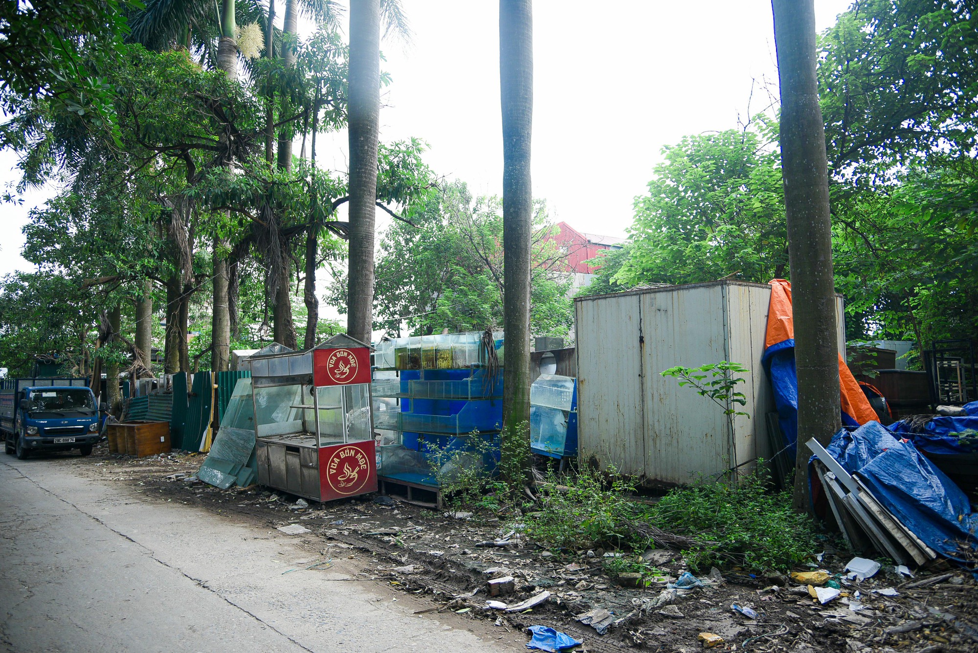 Khu sinh thái rộng hơn 15 ha ở quận Hoàng Mai bị bỏ hoang - Ảnh 6.