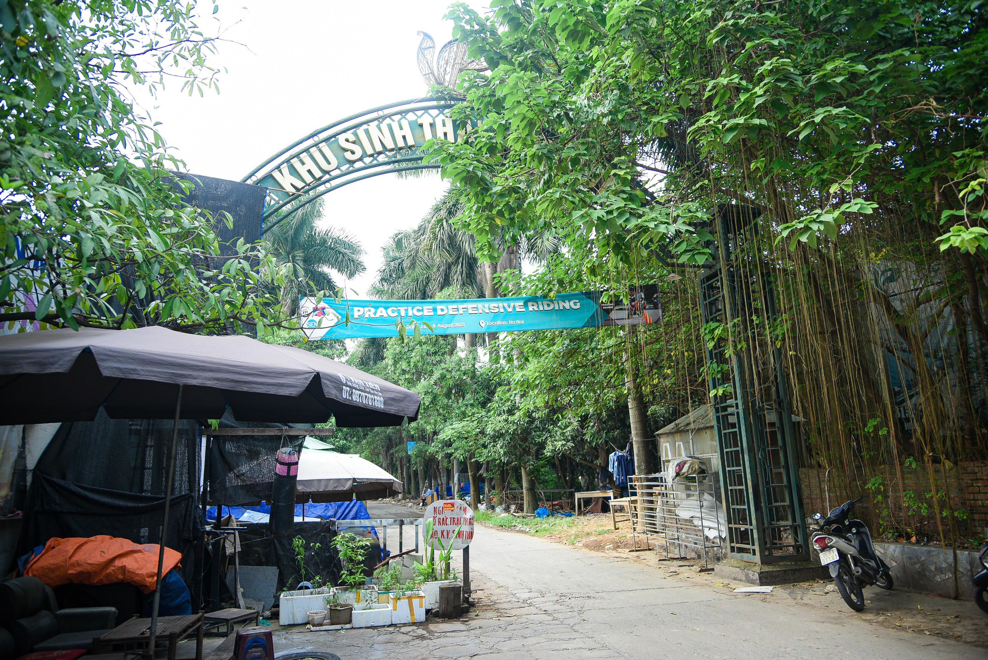Khu sinh thái rộng hơn 15 ha ở quận Hoàng Mai bị bỏ hoang, cỏ mọc um tùm