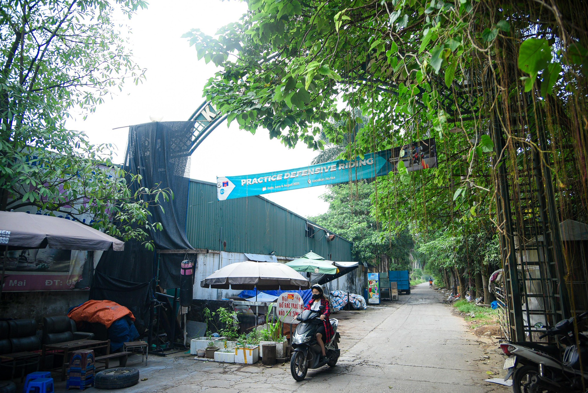 Khu sinh thái rộng hơn 15 ha ở quận Hoàng Mai bị bỏ hoang - Ảnh 1.
