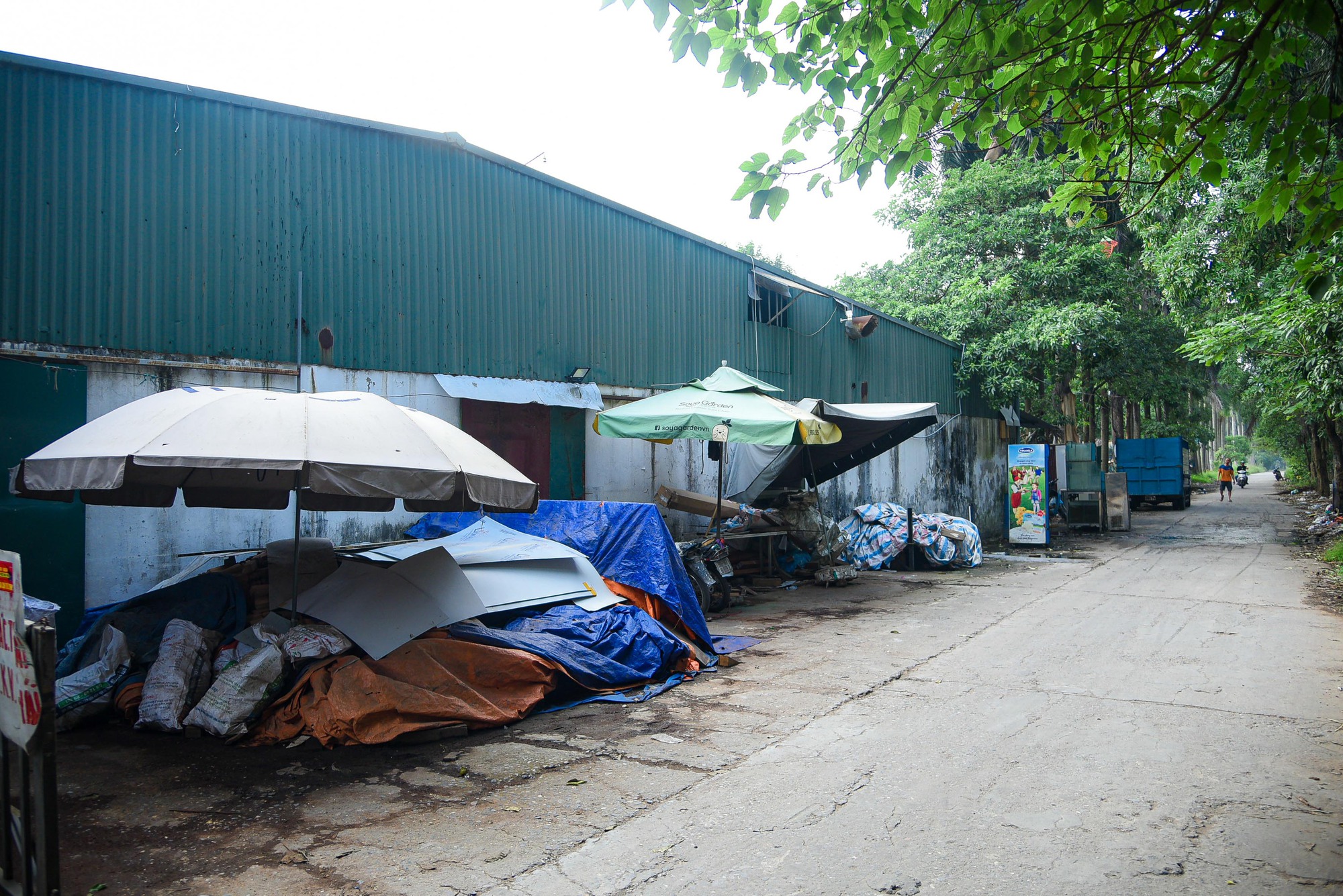 Khu sinh thái rộng hơn 15 ha ở quận Hoàng Mai bị bỏ hoang - Ảnh 5.