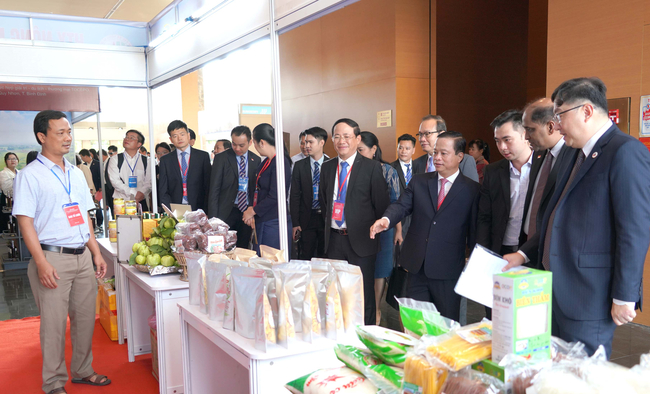 Bình Định giới thiệu tiềm năng, lợi thế với các cơ quan, đối tác nước ngoài - Ảnh 1.