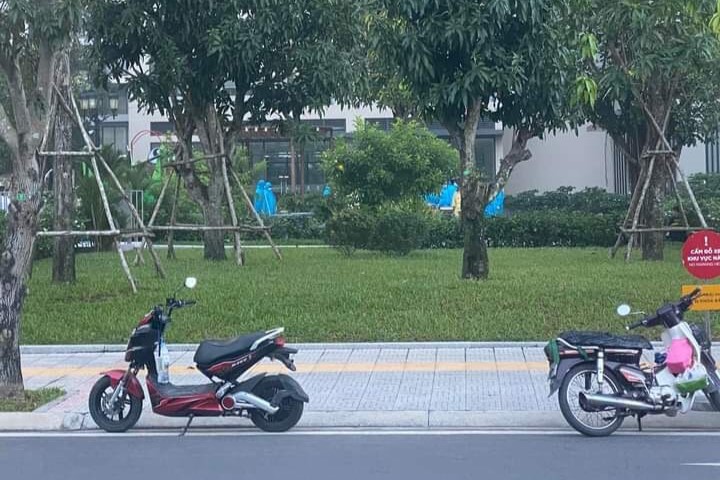 nld.com.vn