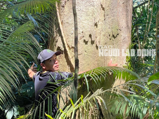 Hệ lụy khó lường