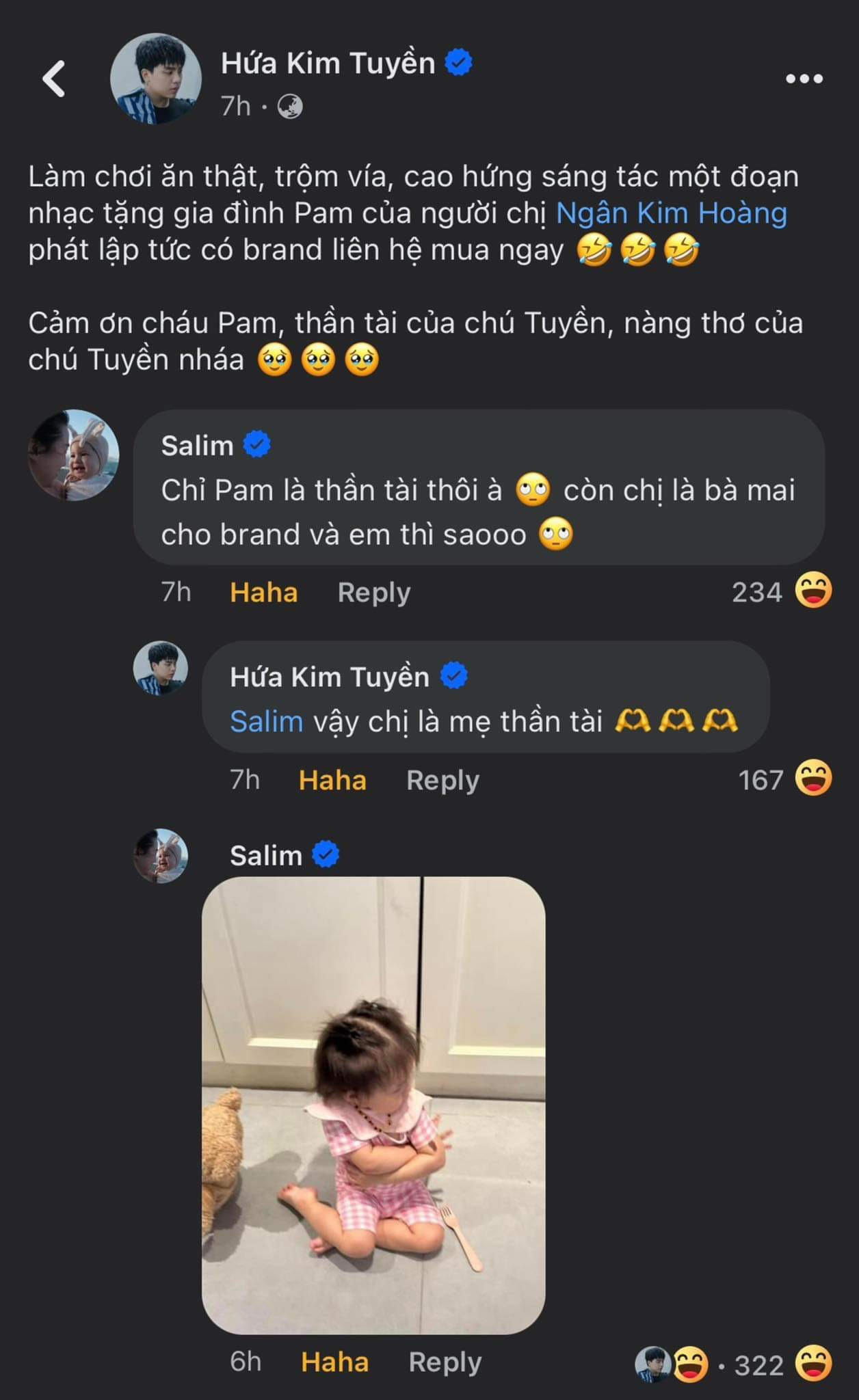 Pam nh&agrave; Salim được Hứa Kim Tuyền s&aacute;ng t&aacute;c ri&ecirc;ng một b&agrave;i h&aacute;t - Ảnh 4.