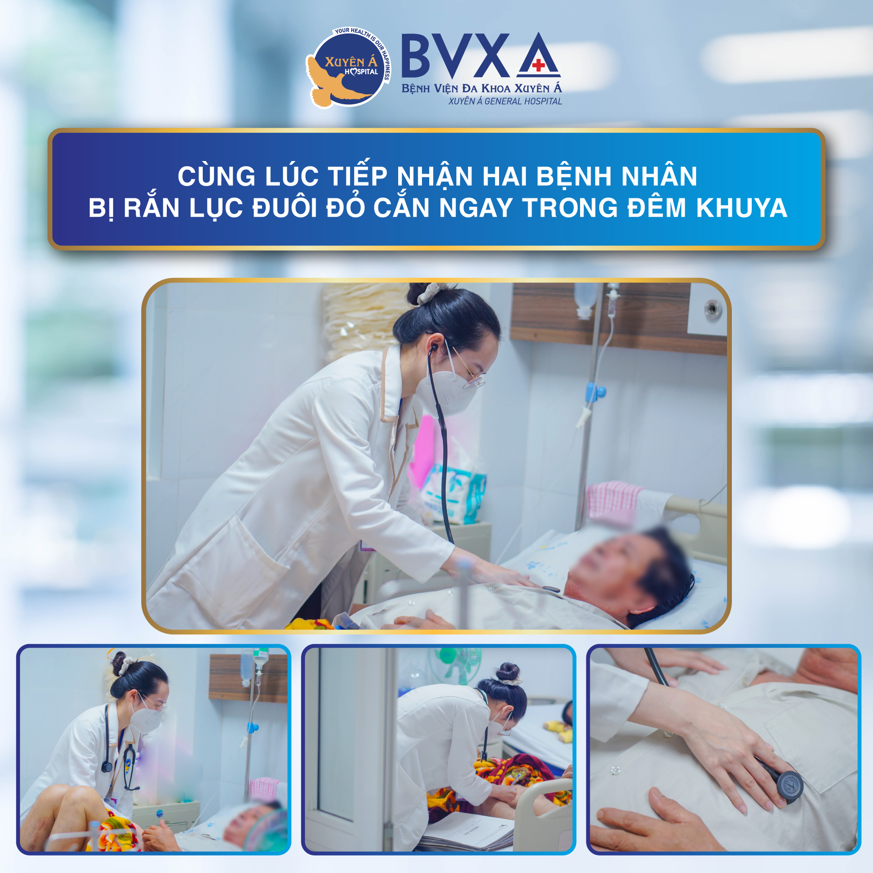 Nhiều người gặp nạn c&ugrave;ng thời điểm rắn độc đi kiếm ăn - Ảnh 1.