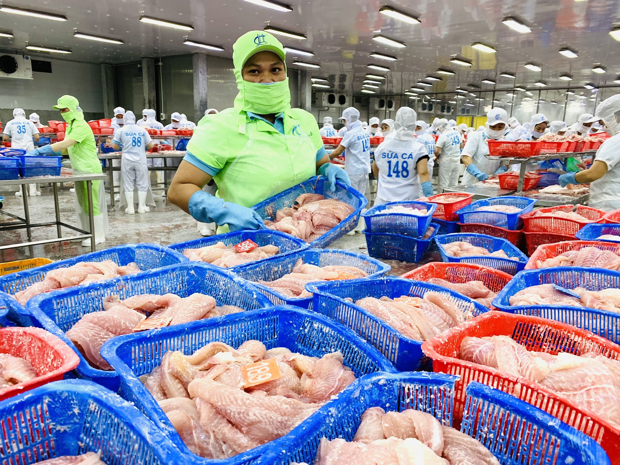 Đồng Th&aacute;p chỉ đạo &ldquo;n&oacute;ng&rdquo; li&ecirc;n quan việc nu&ocirc;i c&aacute; tra trong t&igrave;nh h&igrave;nh mới - Ảnh 4.