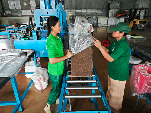 Đầu tư ra nước ngoài từ những dự án trồng cao su (*): Tăng cường ngoại giao kinh tế