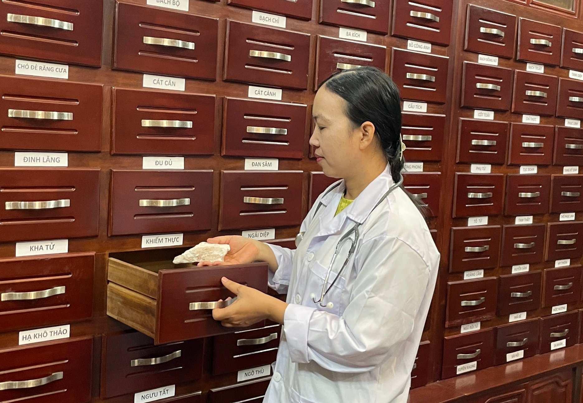 Sắp diễn ra Hội chợ dược liệu, y dược cổ truyền toàn quốc
