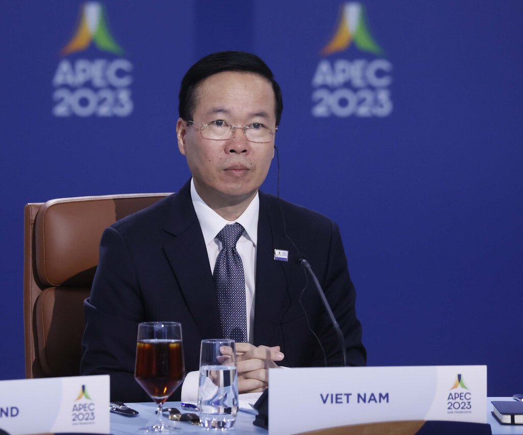 Chủ tịch nước dự Đối thoại giữa c&aacute;c nh&agrave; l&atilde;nh đạo APEC với kh&aacute;ch mời - Ảnh 4.