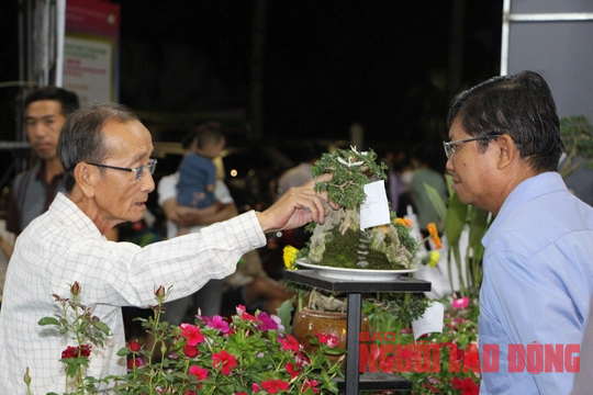 Đồng Tháp tưng bừng ngày hội "Hội quán Đất Sen hồng"
