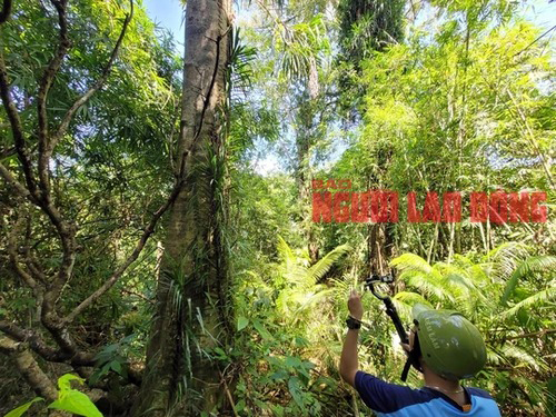 BẤT AN VỚI 3 DỰ &Aacute;N THỦY ĐIỆN ĐẮK R&rsquo;LẤP (*): Bộ C&ocirc;ng Thương đ&atilde; tr&igrave;nh Ch&iacute;nh phủ