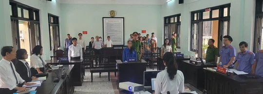 Nữ giáo viên lừa đồng nghiệp 3,25 tỉ đồng