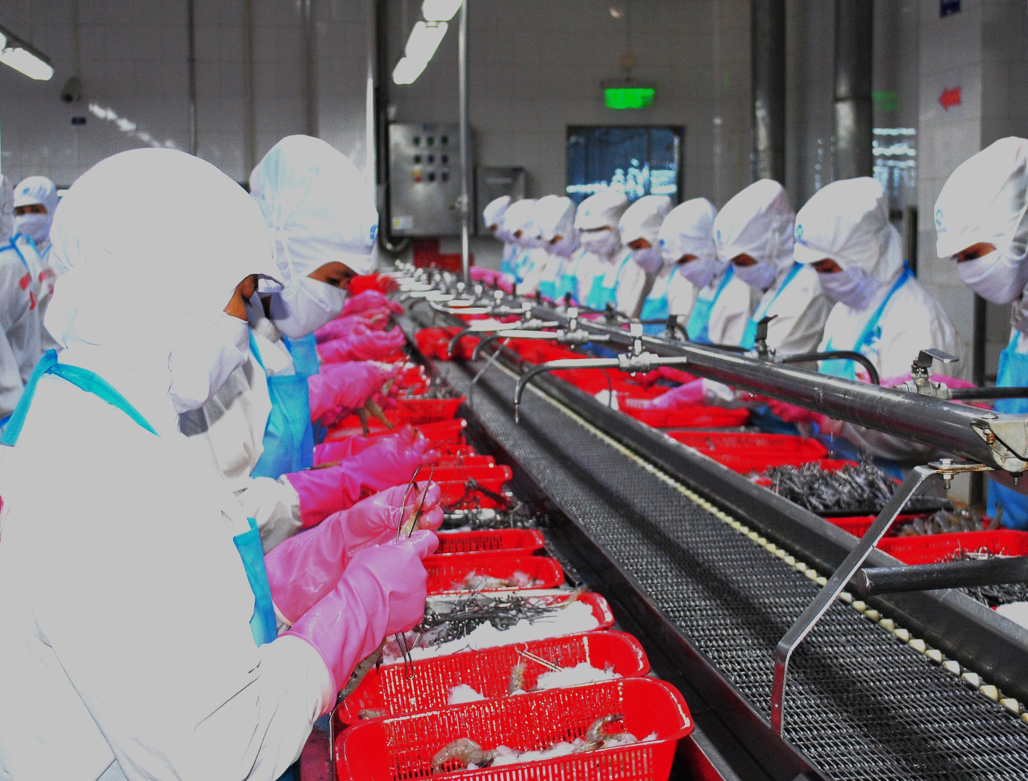 Cà Mau họp báo cung cấp thông tin sự kiện quan trọng của tỉnh