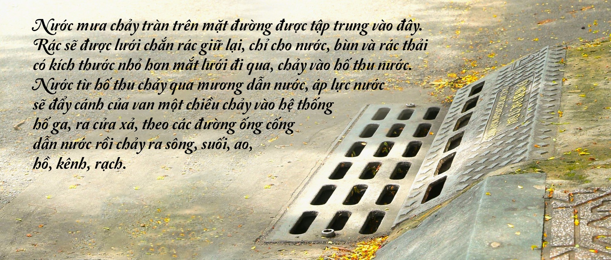 eMagazine: Sáng tạo từ tinh thần vì cộng đồng - Ảnh 5.