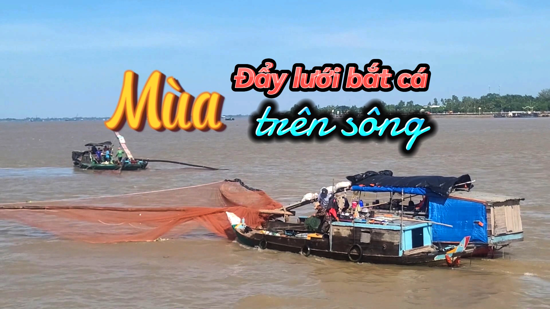 VIDEO: Mùa đẩy lưới bắt cá trên sông Tiền ở An Giang