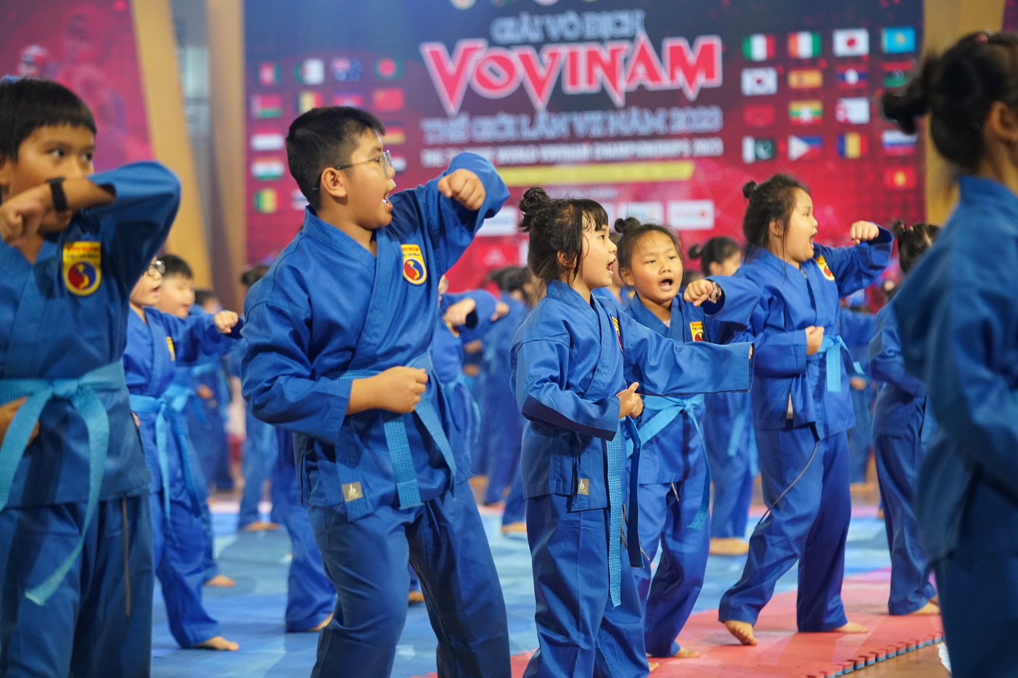 CLIP: Những màn biểu diễn ấn tượng trong lễ khai mạc Giải Vovinam thế giới lần 7-2023 - Ảnh 11.
