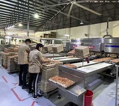 Singapore nỗ lực cho n&ocirc;ng nghiệp tương lai - Ảnh 2.