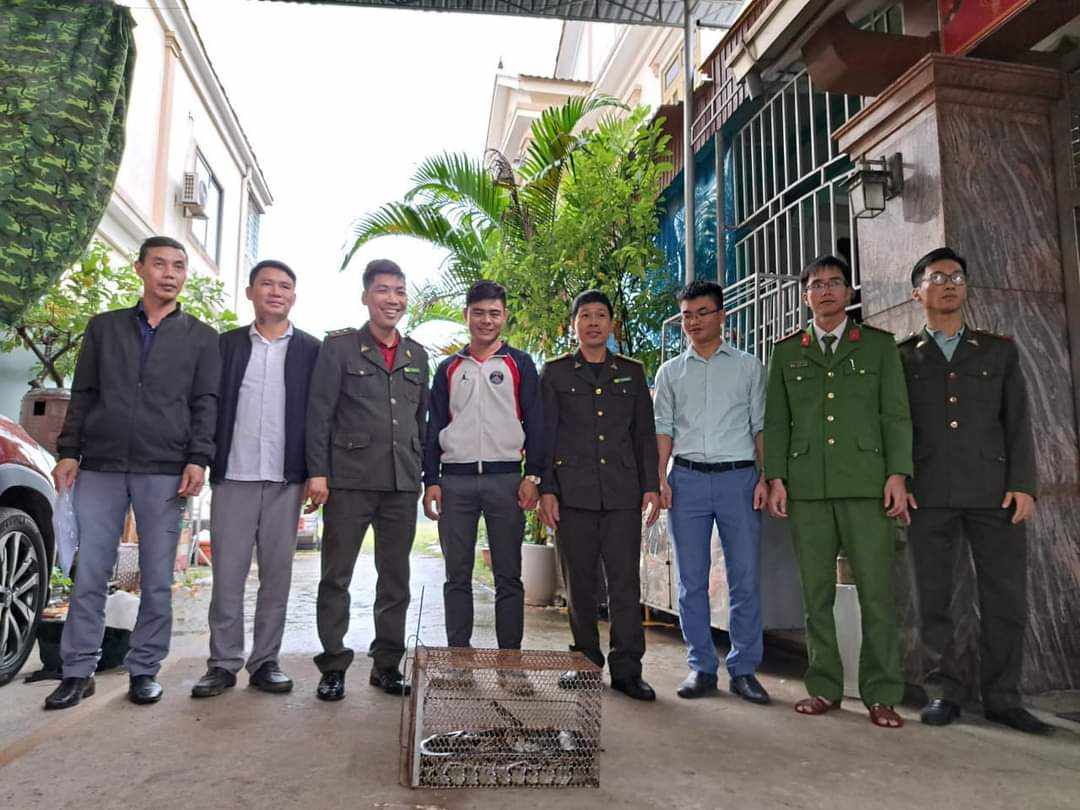 Bàn giao cá thể trăn đất quý hiếm cho Vườn quốc gia Vũ Quang - Ảnh 1.
