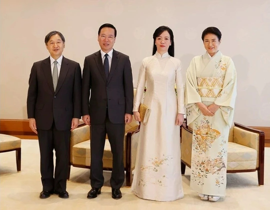 Hình ảnh Chủ tịch nước Võ Văn Thưởng hội kiến Nhà vua Nhật Bản Naruhito - Ảnh 2.